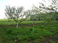 Vues ext&eacute;rieures de la pension et alentours