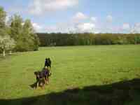 Vues ext&eacute;rieures de la pension et alentours