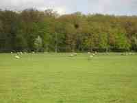 Vues ext&eacute;rieures de la pension et alentours