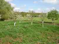 Vues ext&eacute;rieures de la pension et alentours