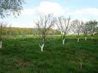 Vues ext&eacute;rieures pension et alentours