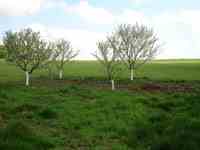 Vues ext&eacute;rieures pension et alentours