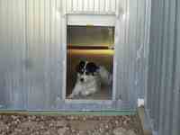 Boxs int&eacute;rieurs des chiens