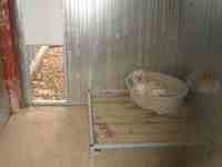 Boxs int&eacute;rieurs des chiens