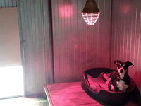 Chauffages des boxs chiens