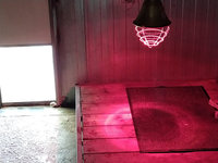 Chauffages des boxs chiens