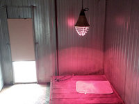 Chauffages des boxs chiens