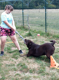 Sorties sur parcours des Chiens