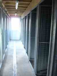 Boxs individuels des chats