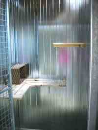 Boxs individuels des chats