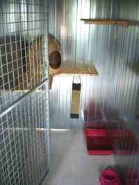 Boxs individuels des chats