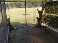 Courette ext&eacute;rieure du box commun chat